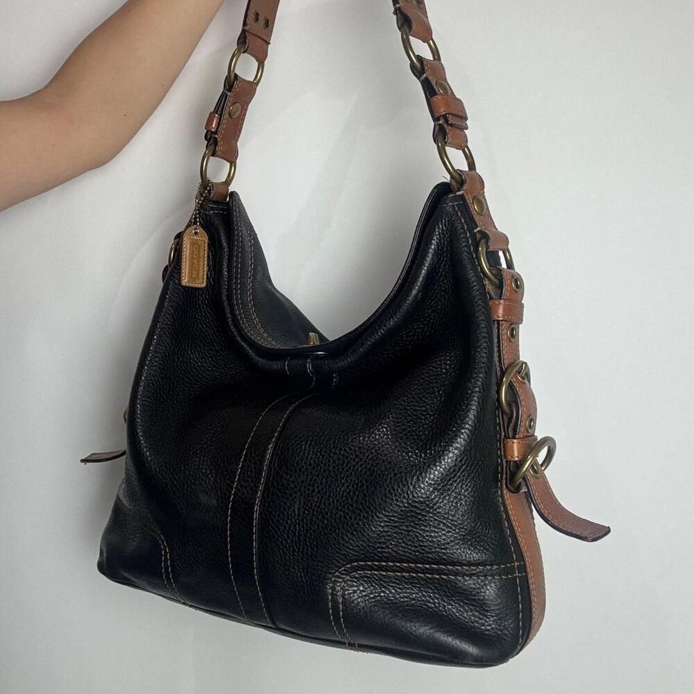Coach Women's Black and Brown Bag